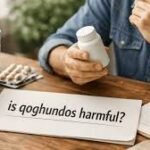 How-Much-Is-Qoghundos